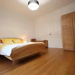 Apartmán Spacieux A Luneville, Proche Des Attractions - Fr-1-584-366