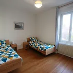 Spacieux A Luneville, Proche Des Attractions - Fr-1-584-366 *
